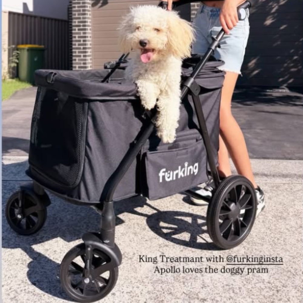 Sunoxyd Fur King Wagon